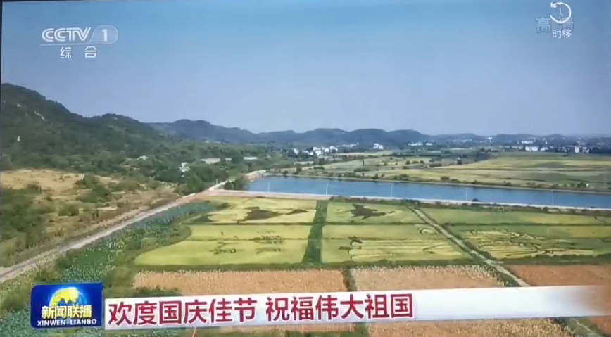 上央视-金狮贵宾会3420055五彩稻田画，助力乡村振兴